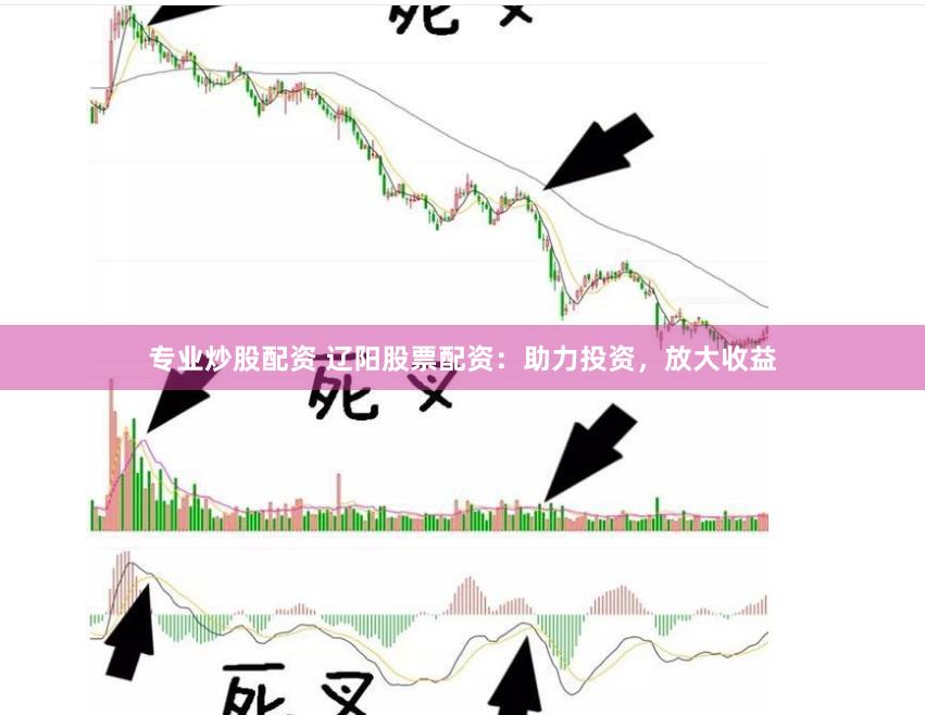 专业炒股配资 辽阳股票配资：助力投资，放大收益