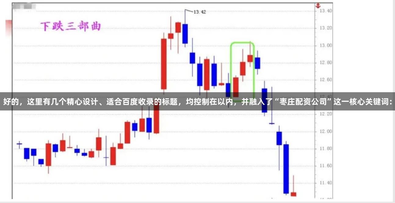 好的，这里有几个精心设计、适合百度收录的标题，均控制在以内，并融入了“枣庄配资公司”这一核心关键词：