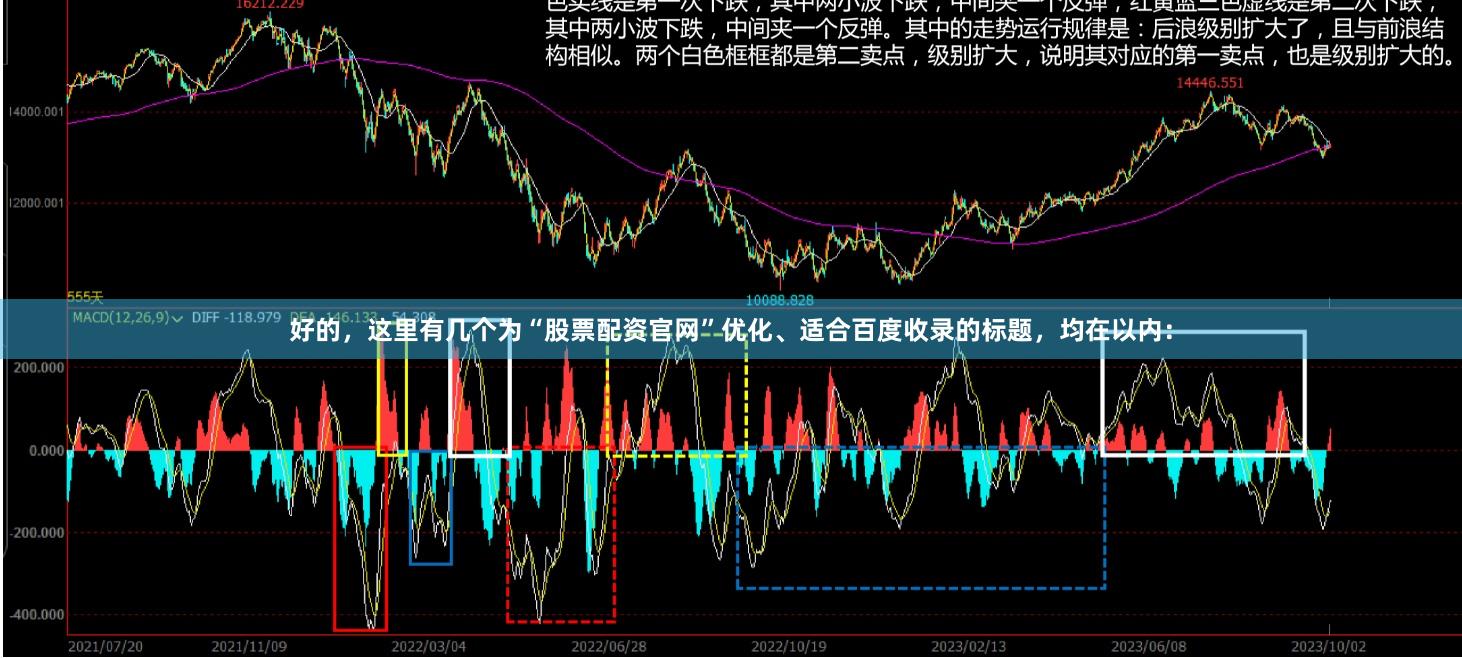 好的，这里有几个为“股票配资官网”优化、适合百度收录的标题，均在以内：