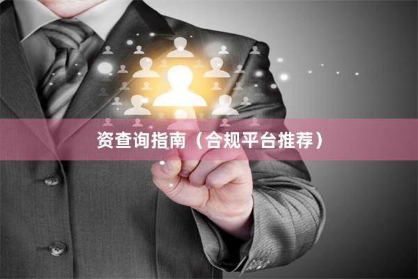 资查询指南（合规平台推荐）