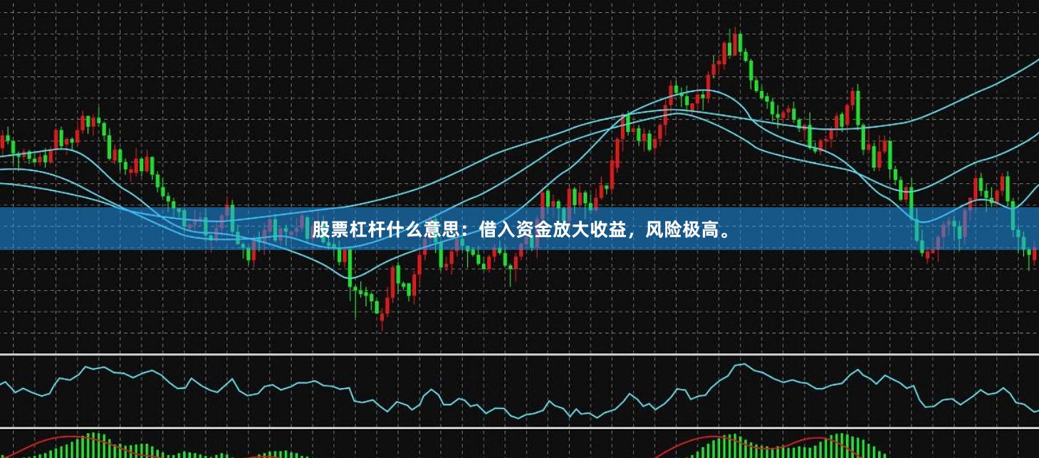 股票杠杆什么意思：借入资金放大收益，风险极高。